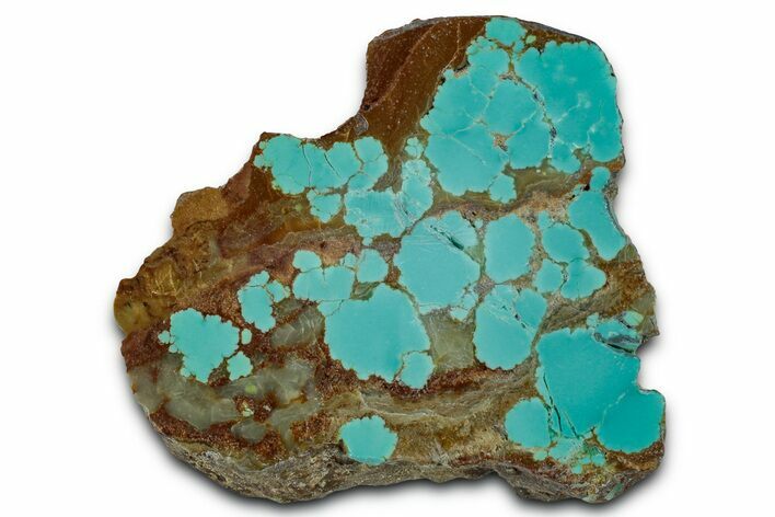 Polished Turquoise Slab - Number Mine, Carlin, NV #331192